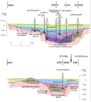 Figure 2.  Geological profile.