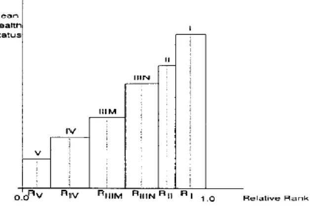 Figure 1.1  Indice d’inégalité relatif (RII) 