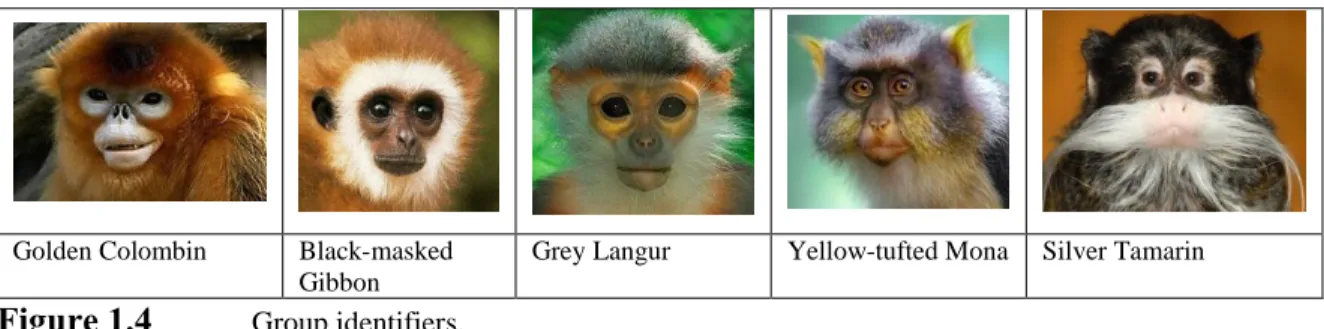 Figure 1.4  Group identifiers.  