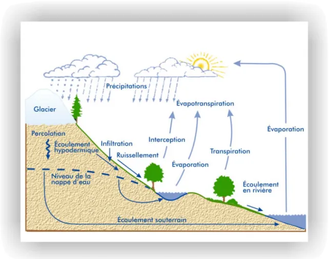 Figure 1.2   Schéma du cycle de l’eau 