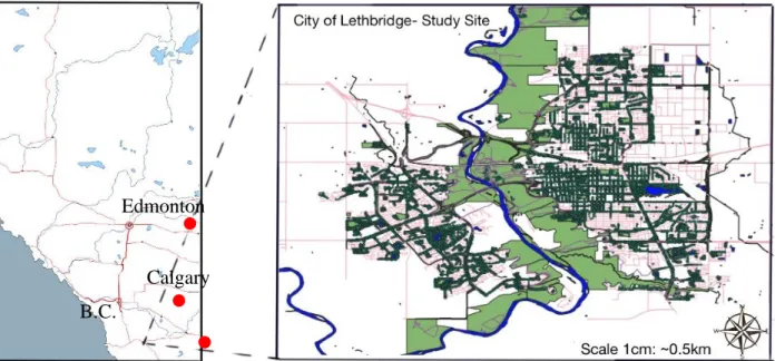 Figure 2.1 Location of Study Site. Light green polygons represent the coulees, and the dark green polygons represent  the canopy cover