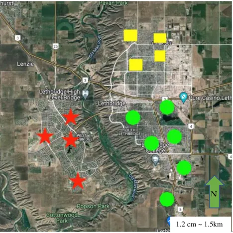 Figure 4.2. Area map of the City of Lethbridge. Study site grouped into three areas; each area marked with a specific  colour