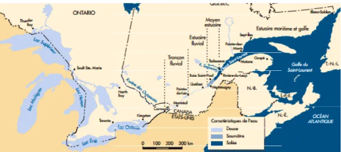 Figure 2.1   Régions hydrographiques du fleuve Saint
