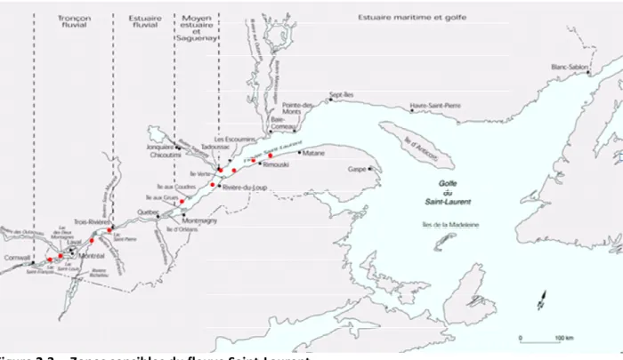 Figure 2.3   Zones sensibles du fleuve Saint