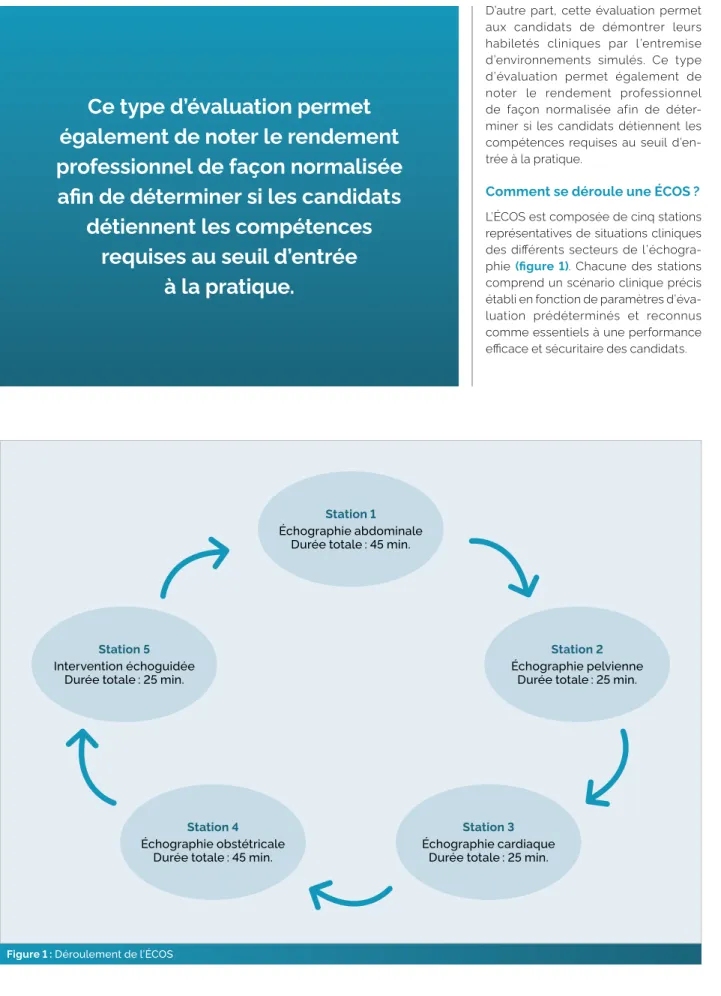 Figure 1 : Déroulement de l’ÉCOSStation 5 Intervention échoguidée