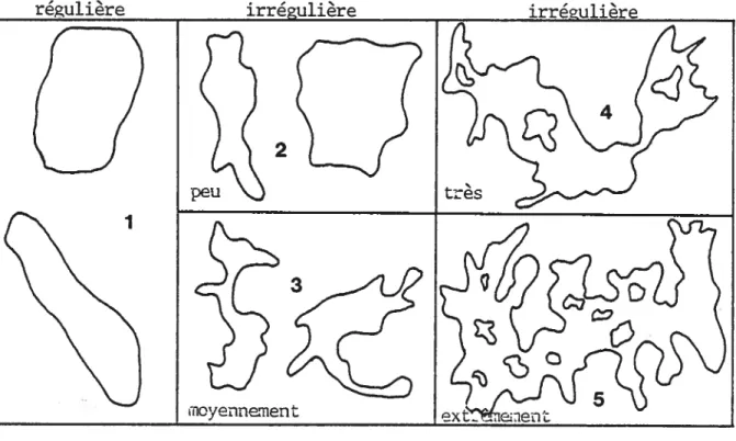 Fig. 1: Formes caractéristiques des plans d’eau