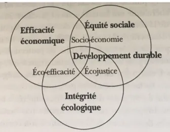 FIGURE 2.4 : L’espace conceptuel du développement durable (Guay, 2004 : 17) 