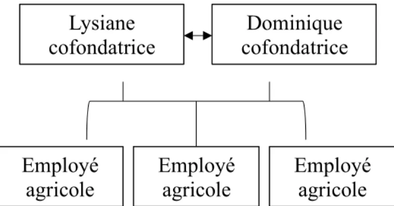 Figure 4 : Schéma de la structure organisationnelle 