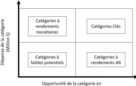 Figure 5.4 - La matrice d