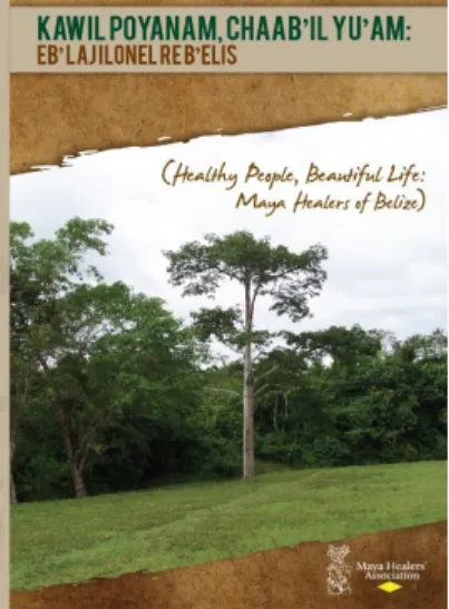Figure 10.  DVD cover, showing  the sacred ceiba tree, symbol of  the 