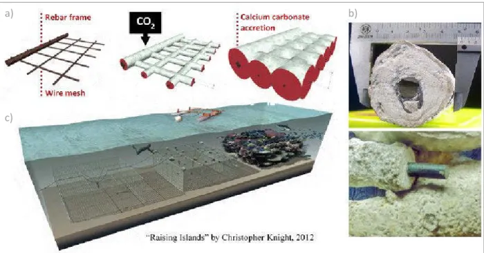 Figure 1. Biorock formation process: a) progression of accretion on the metal scaffold, b) thickness of  Biorock on 10 mm rebar after 18 months, c) illustration of Biorock lifecycle in tropical regions for coral  reef formation