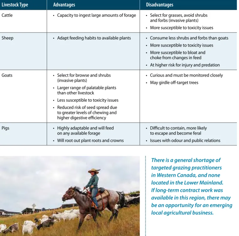 TABLE 3. Livestock suitability summary.