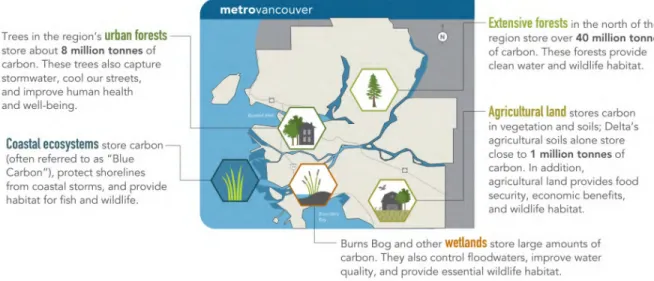 Figure 2: Key Natural Carbon Stores in the Region and their Impacts on Regional Climate Resilience 