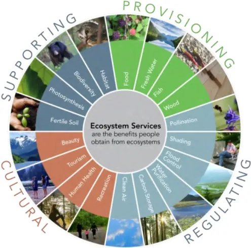 Figure 3: Ecosystem Services Provided by Healthy Ecosystems 