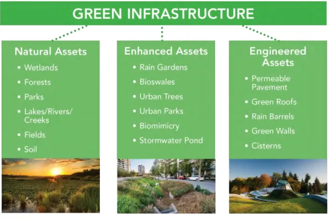 Figure 4: Types of Green Infrastructure 