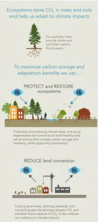 Figure 6: The Climate Change Benefits of Protecting    and Restorating Ecosystems 