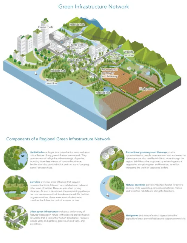 Figure 7: Components of a Green Infrastructure Network 