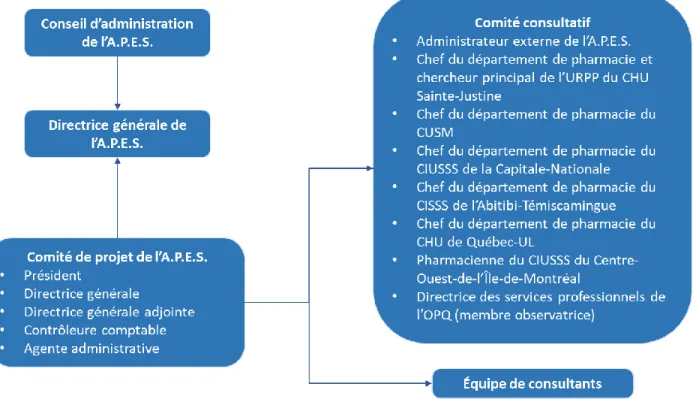 Figure 1 : Structure de projet et composition des comités 
