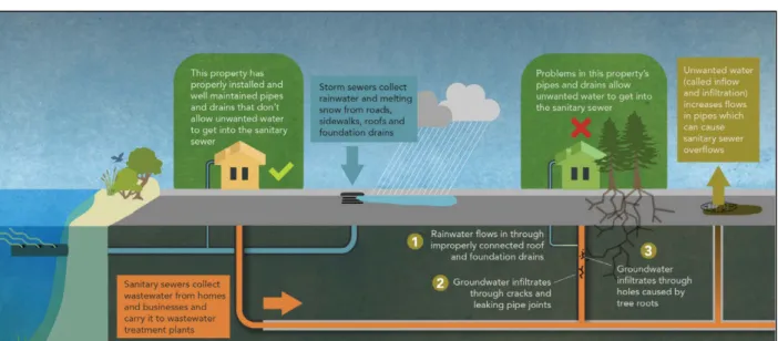 Figure 1 – Sources of Inflow and Infiltration 