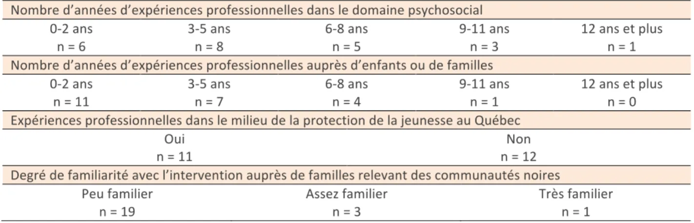 Tableau 1 – Caractéristiques professionnelles des participants (n = 23) 
