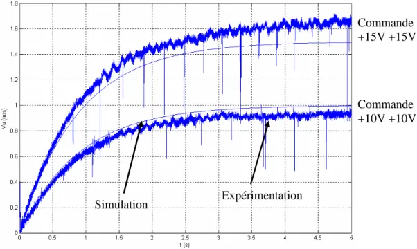 Figure 5 : essais en translation 