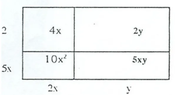 Figure 2 -Illustration du modèle du rectangle avec  l’expression 10x 2  +5xy +4x+2y 