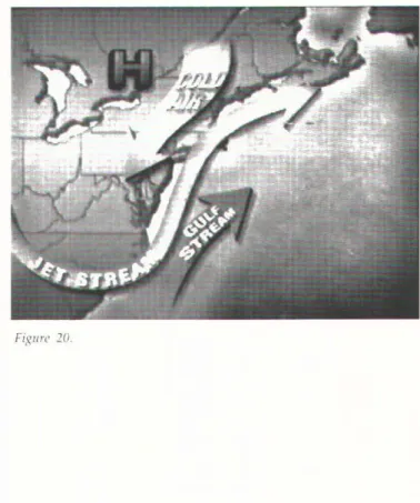 Fig ure  20. 