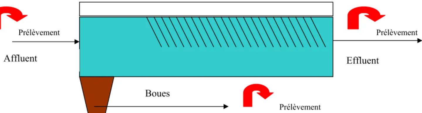 Figure 4 : Schéma décanteur primaire 