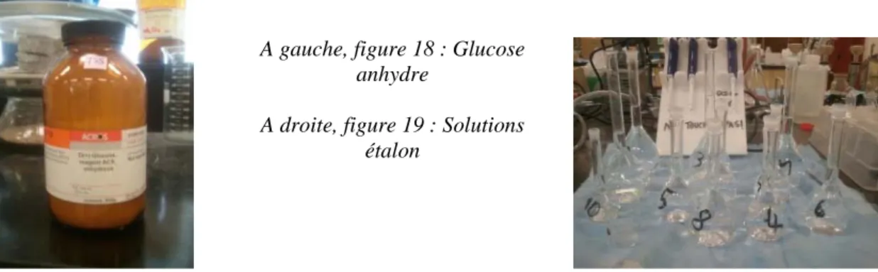 Figure 22 :1er tube  d’analyse Azote total 