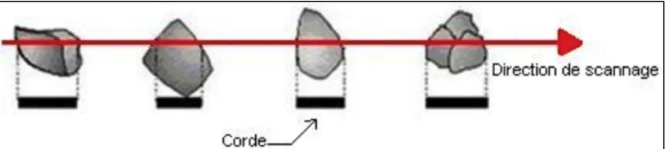 Figure 12 Les cordes mesurées par le FBRM 