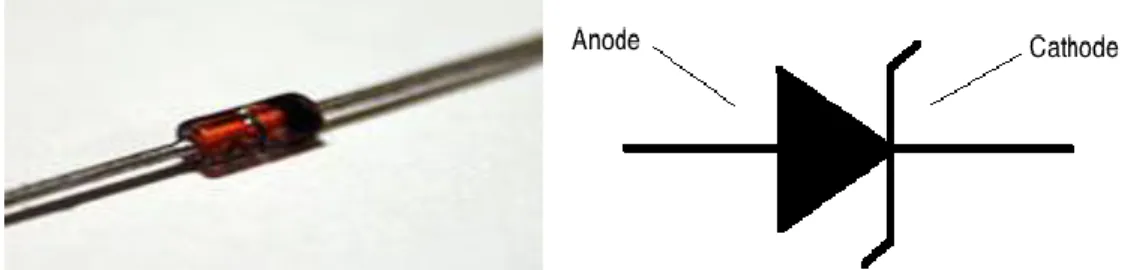 Figure 3. 5: Zener Diode [5] 