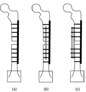 Figure 9.2 Three constructs designed by Talbot et al. for axial compression, bending and torsion tests [100]: 
