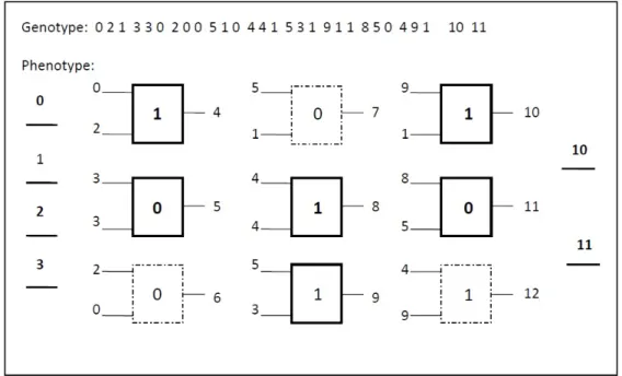 Figure 3.1: CGP: genotype-phenotype mapping