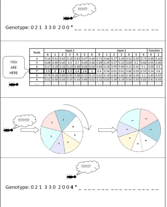 Figure 3.2: Genome Creation