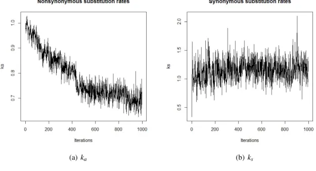 Figure 4.5: A random evolution run