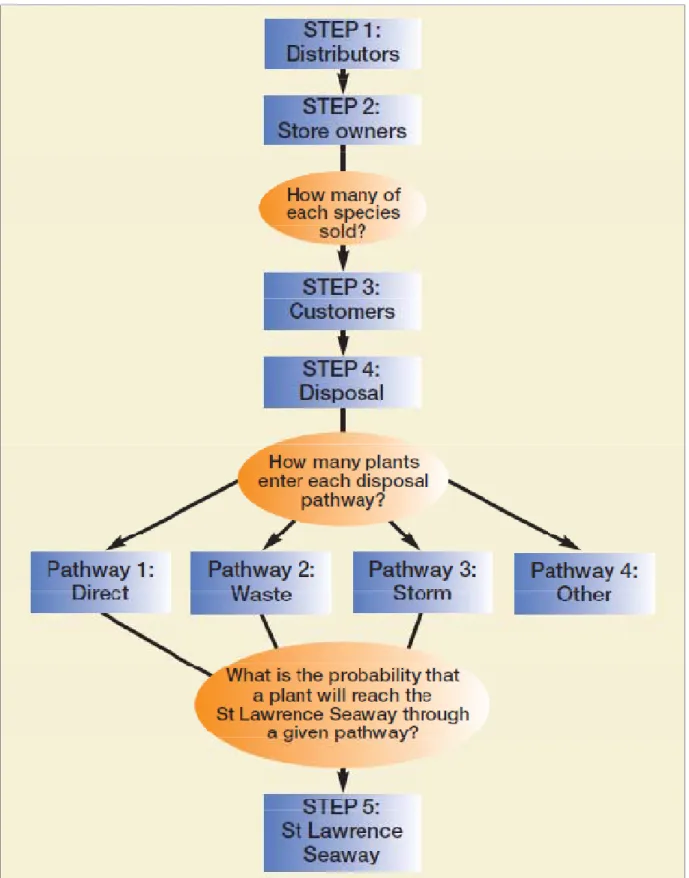 Figure 1:  Schematic  showing  the  method  used  to  determine  propagule  pressure   