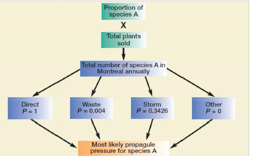 Figure 2:  Schematic showing steps to calculate propagule pressure (Cohen et al., 2007)       