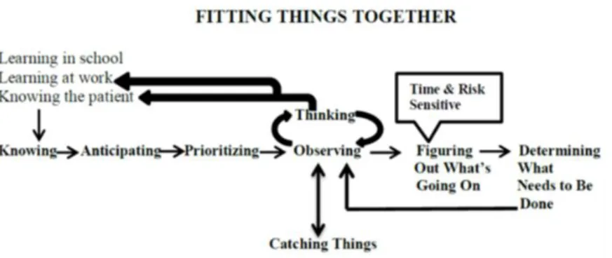 Figure 3. Wilber’s model of the process of clinical judgment in new nurses (2014,  p. 80)