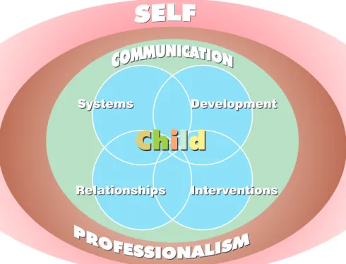 Figure One: The Domains of Child and Youth Care Practice