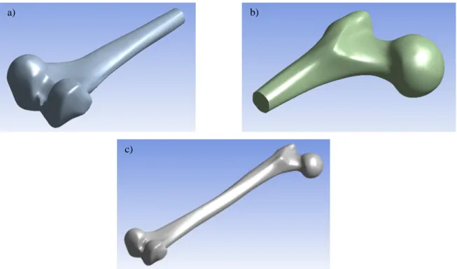 Figure 3-11: The three solid bodies used to form the model of a human femur bone; a) cancellous bone distal,  b) cancellous bone proximal, and c) cortical bone