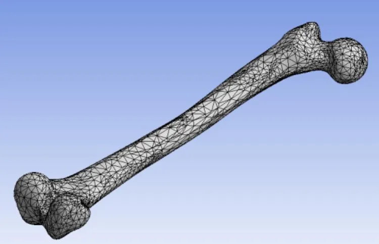 Figure 3-15: A screen shot of the default element shape and size as established by ANSYS