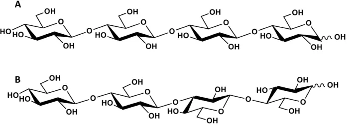 Figure 2.4: Structural comparison of cellotetraose (A) and 1,3:1,4-β-glucotetraose (B)