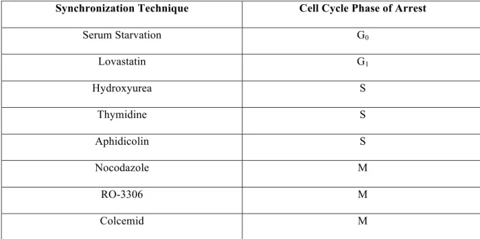 Table 2-1: In Vitro cell cycle synchronization agents and respective phases of cell cycle arrest