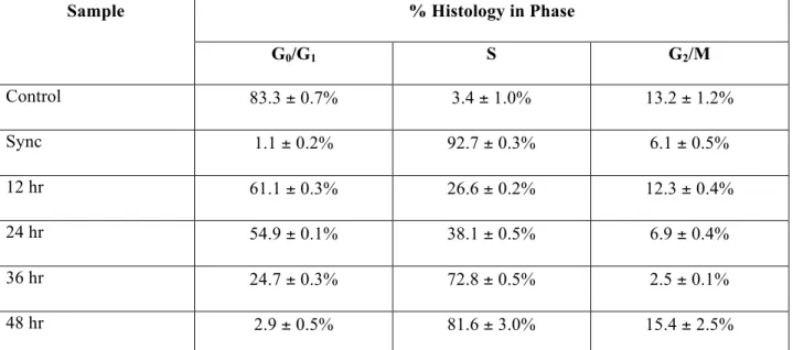 Table 4-4: Characterization of cell cycle phase for representative samples of a Control population  alongside a Modified Double Thymidine Synchronized population tracked at 12-hour time points for 48  hours, presented as percentage of the population found 