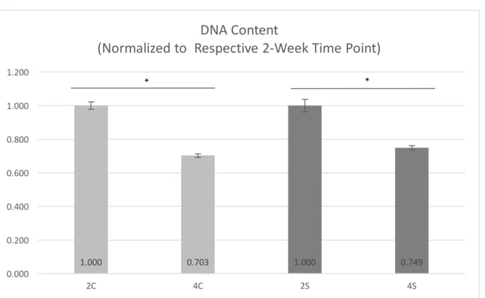 Figure 4-4: DNA content for 2C (two-week control), 2S (two-week synchronized), 4C (four-week control),  and 4S (four-week synchronized) groups, normalized to the respective sample at 2 weeks (i.e