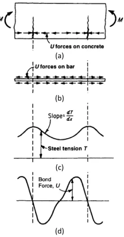 Figure 2.14: Variation of bond force along length of  rebar in reinforced concrete member: (a) cracked  concrete member; (b) bond forces on rebar; (c)  variation of tensile forces along rebar; (d) variation of  bond force acting on reinforcing bar, determi