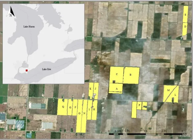 Figure 1. The locations and shape of the seventeen fields located in Southwestern,  Ontario