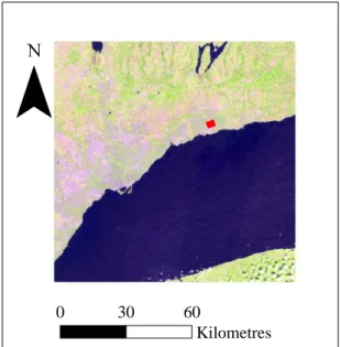Figure 4 - The Sentinel image used, with study area is marked in red. 