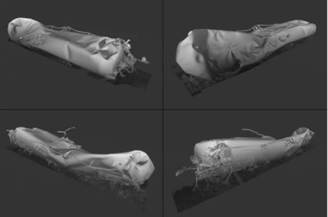 Figure 4: Oblique views of ACFX 76605 tank car laser scan visualizations 