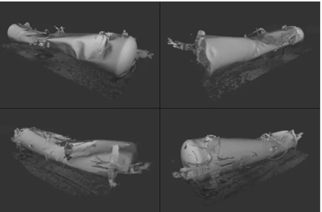 Figure 6: Oblique views of ACFX 71505 tank car laser scan visualizations 